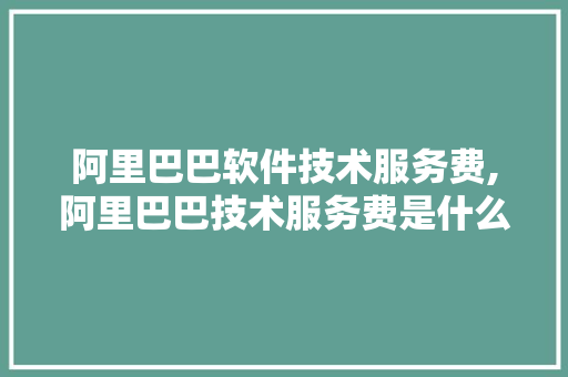阿里巴巴软件技术服务费,阿里巴巴技术服务费是什么意思。 软件技术