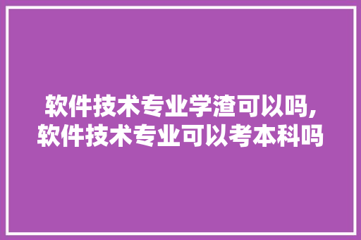 软件技术专业学渣可以吗,软件技术专业可以考本科吗。 软件技术