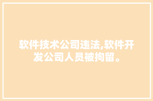 软件技术公司违法,软件开发公司人员被拘留。 软件技术