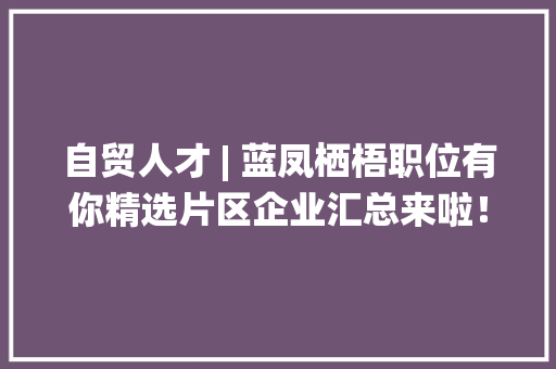 自贸人才 | 蓝凤栖梧职位有你精选片区企业汇总来啦！ 软件技术