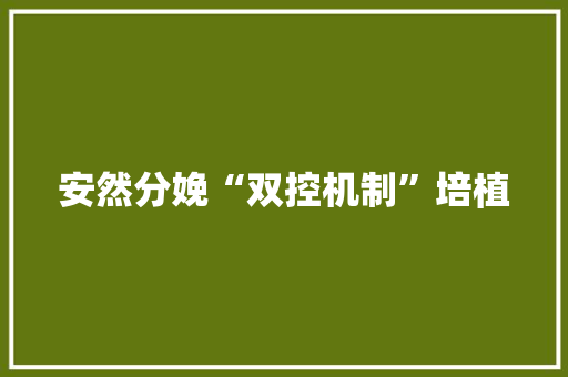 安然分娩“双控机制”培植 软件技术