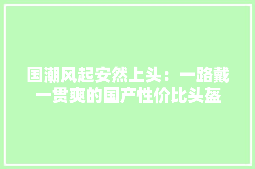 国潮风起安然上头：一路戴一贯爽的国产性价比头盔 软件技术