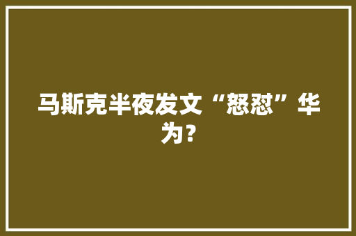 马斯克半夜发文“怒怼”华为？ 人工智能