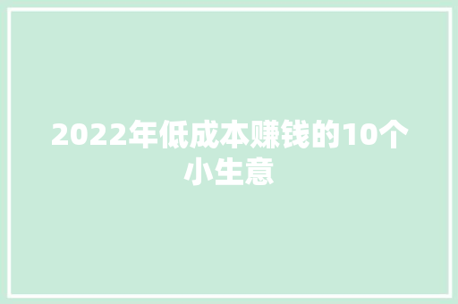 2022年低成本赚钱的10个小生意 智能科技