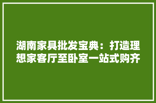 湖南家具批发宝典：打造理想家客厅至卧室一站式购齐省钱攻略 软件技术