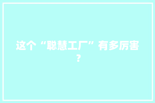 这个“聪慧工厂”有多厉害？ 软件技术