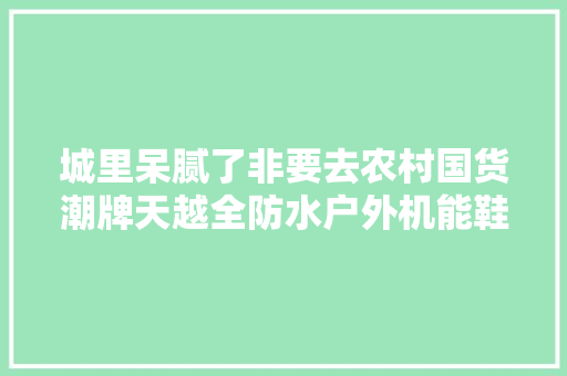 城里呆腻了非要去农村国货潮牌天越全防水户外机能鞋体验 AI场景