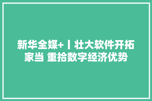 新华全媒+丨壮大软件开拓家当 重拾数字经济优势 智能科技