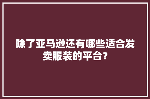 除了亚马逊还有哪些适合发卖服装的平台？ AI场景