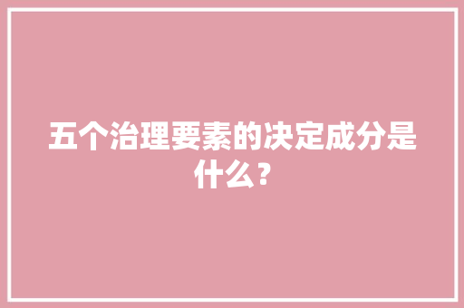 五个治理要素的决定成分是什么？ AI场景