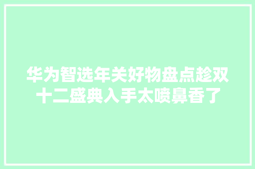 华为智选年关好物盘点趁双十二盛典入手太喷鼻香了 软件技术