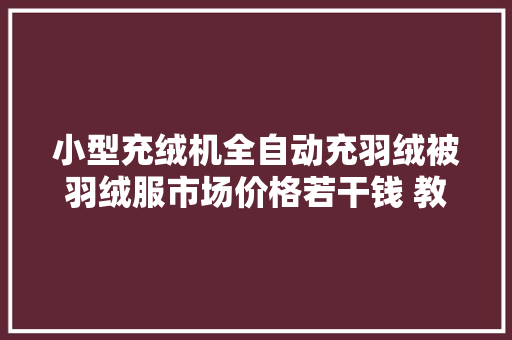 小型充绒机全自动充羽绒被羽绒服市场价格若干钱 教你理解行业内幕 智能科技