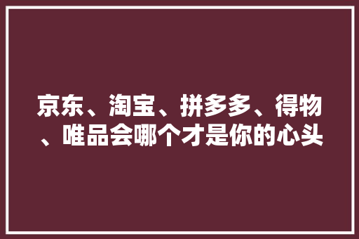 京东、淘宝、拼多多、得物、唯品会哪个才是你的心头好？ AI场景