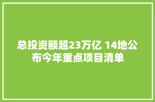 总投资额超23万亿 14地公布今年重点项目清单 AI场景