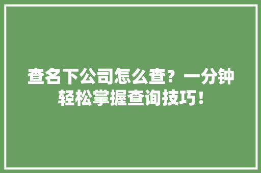 查名下公司怎么查？一分钟轻松掌握查询技巧！ 智能科技