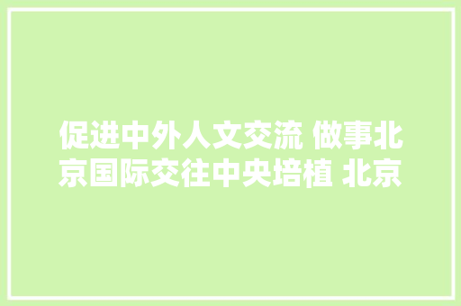 促进中外人文交流 做事北京国际交往中央培植 北京市翻译协会正式成立 AI场景