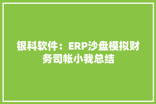 银科软件：ERP沙盘模拟财务司帐小我总结 软件技术