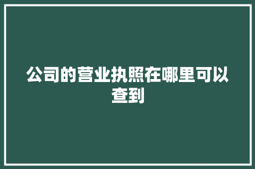 公司的营业执照在哪里可以查到 AI场景