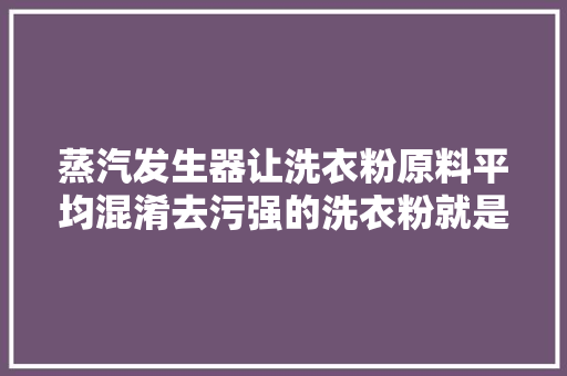 蒸汽发生器让洗衣粉原料平均混淆去污强的洗衣粉就是这么来的！