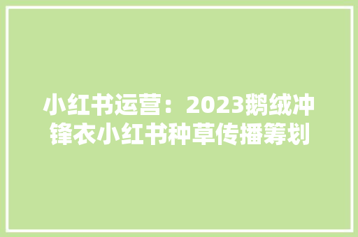 小红书运营：2023鹅绒冲锋衣小红书种草传播筹划 AI场景