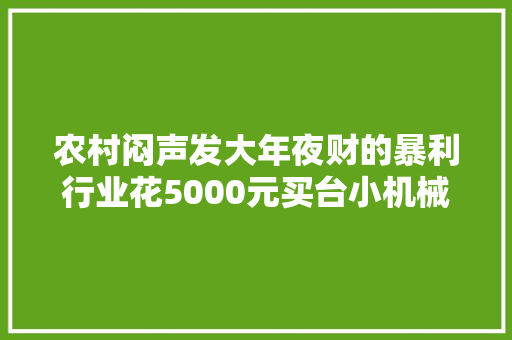 农村闷声发大年夜财的暴利行业花5000元买台小机械年收入40万！ 智能科技