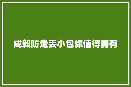 成毅防走丢小包你值得拥有 智能科技