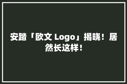 安踏「欧文 Logo」揭晓！居然长这样！ 智能科技