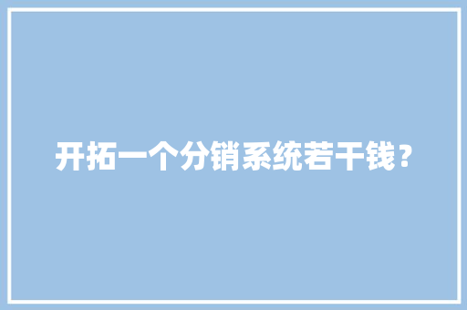 开拓一个分销系统若干钱？ 软件技术