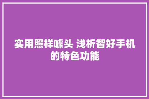 实用照样噱头 浅析智好手机的特色功能 智能科技