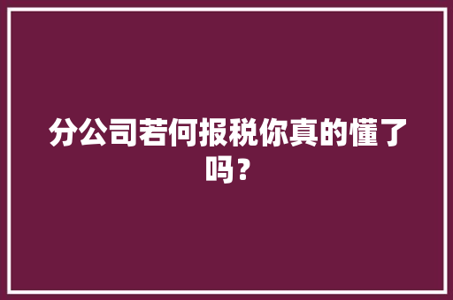 分公司若何报税你真的懂了吗？ 软件技术