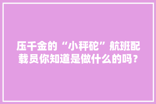 压千金的“小秤砣”航班配载员你知道是做什么的吗？ AI场景
