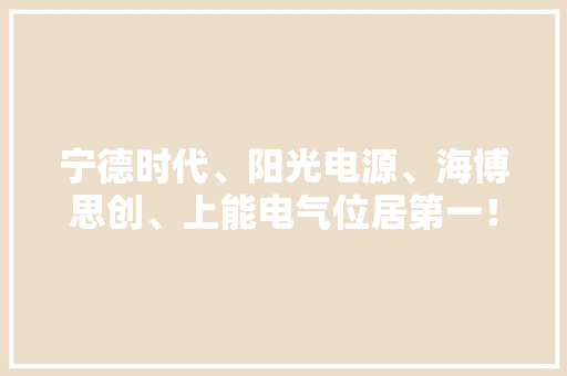 宁德时代、阳光电源、海博思创、上能电气位居第一！2022储能家当排名榜出炉 AI场景