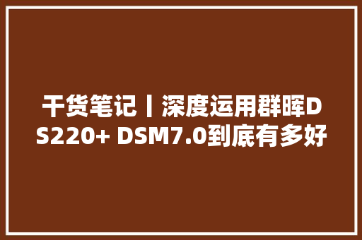 干货笔记丨深度运用群晖DS220+ DSM7.0到底有多好用 软件技术