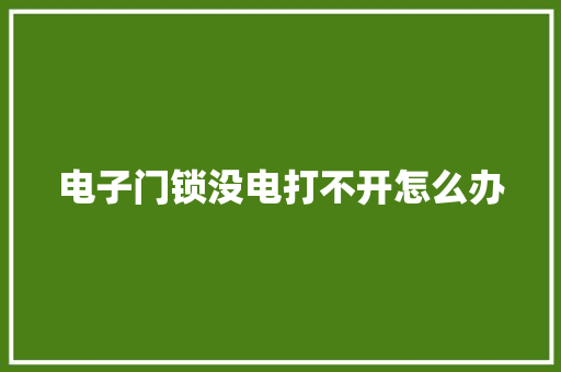 电子门锁没电打不开怎么办 人工智能