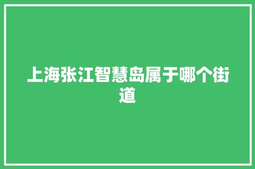 上海张江智慧岛属于哪个街道 人工智能