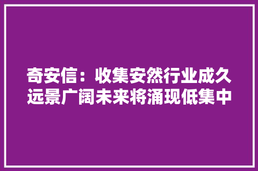 奇安信：收集安然行业成久远景广阔未来将涌现低集中寡占的竞争格局 AI场景