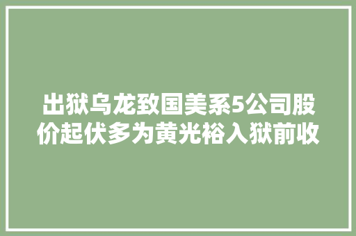 出狱乌龙致国美系5公司股价起伏多为黄光裕入狱前收购 软件技术