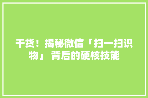 干货！揭秘微信「扫一扫识物」 背后的硬核技能 人工智能