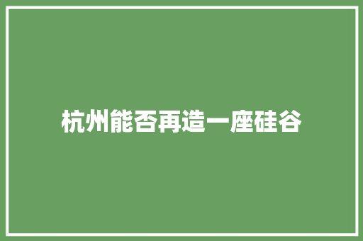杭州能否再造一座硅谷 人工智能