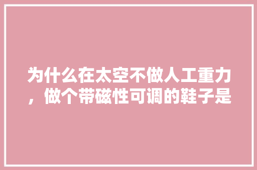 为什么在太空不做人工重力，做个带磁性可调的鞋子是不是可以呢 人工智能