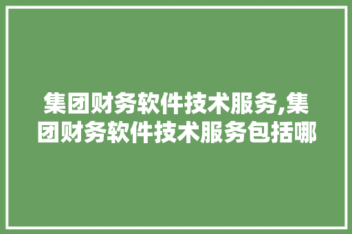 集团财务软件技术服务,集团财务软件技术服务包括哪些。 软件技术