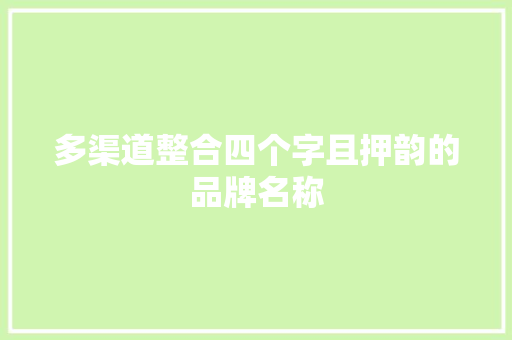 多渠道整合四个字且押韵的品牌名称 人工智能