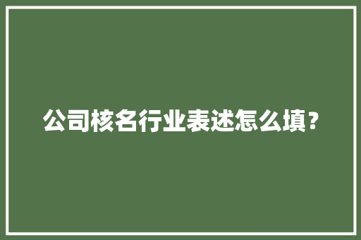 公司核名行业表述怎么填？ AI场景