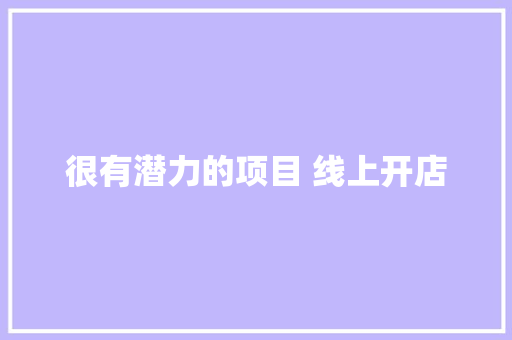 很有潜力的项目 线上开店 软件技术