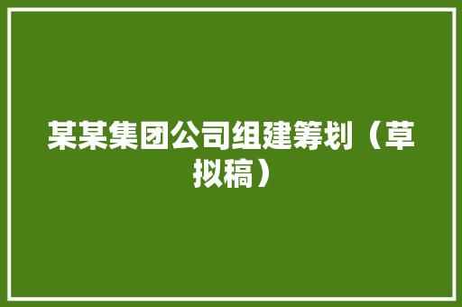 某某集团公司组建筹划（草拟稿） 人工智能