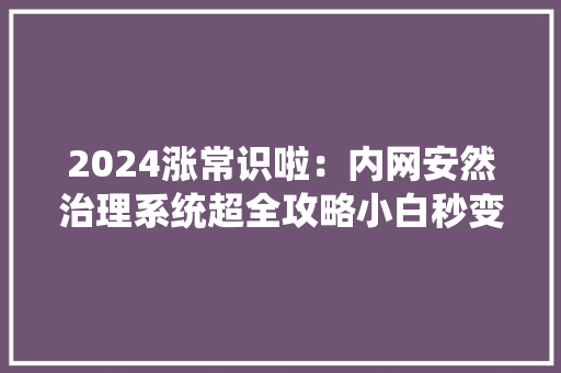 2024涨常识啦：内网安然治理系统超全攻略小白秒变高手！ 人工智能