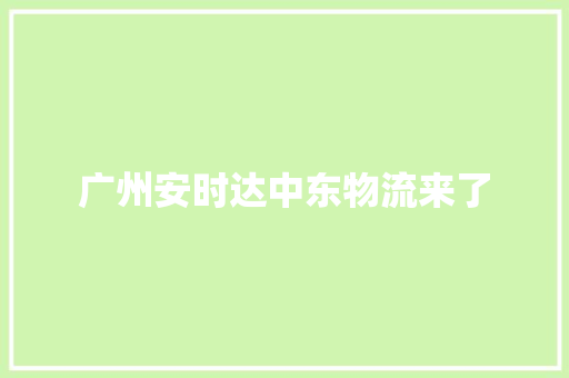 广州安时达中东物流来了 软件技术
