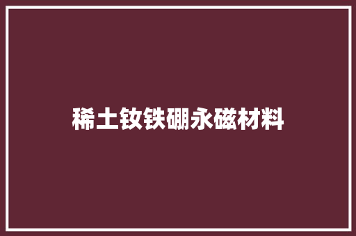 稀土钕铁硼永磁材料 智能科技
