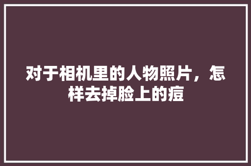 对于相机里的人物照片，怎样去掉脸上的痘 人工智能