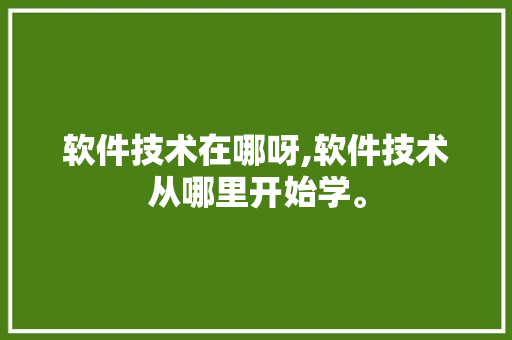 软件技术在哪呀,软件技术从哪里开始学。 软件技术